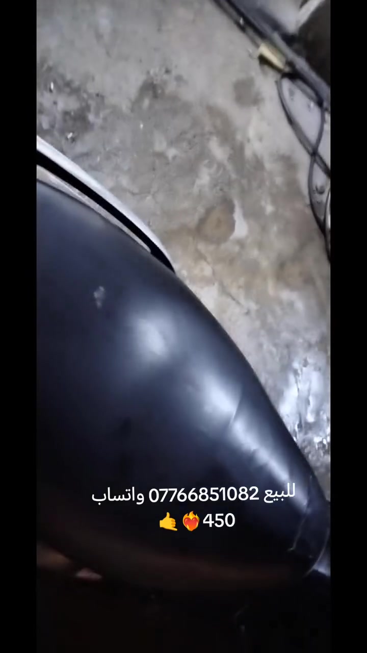 جيتي ار • ثعلب • كلج رياضي
