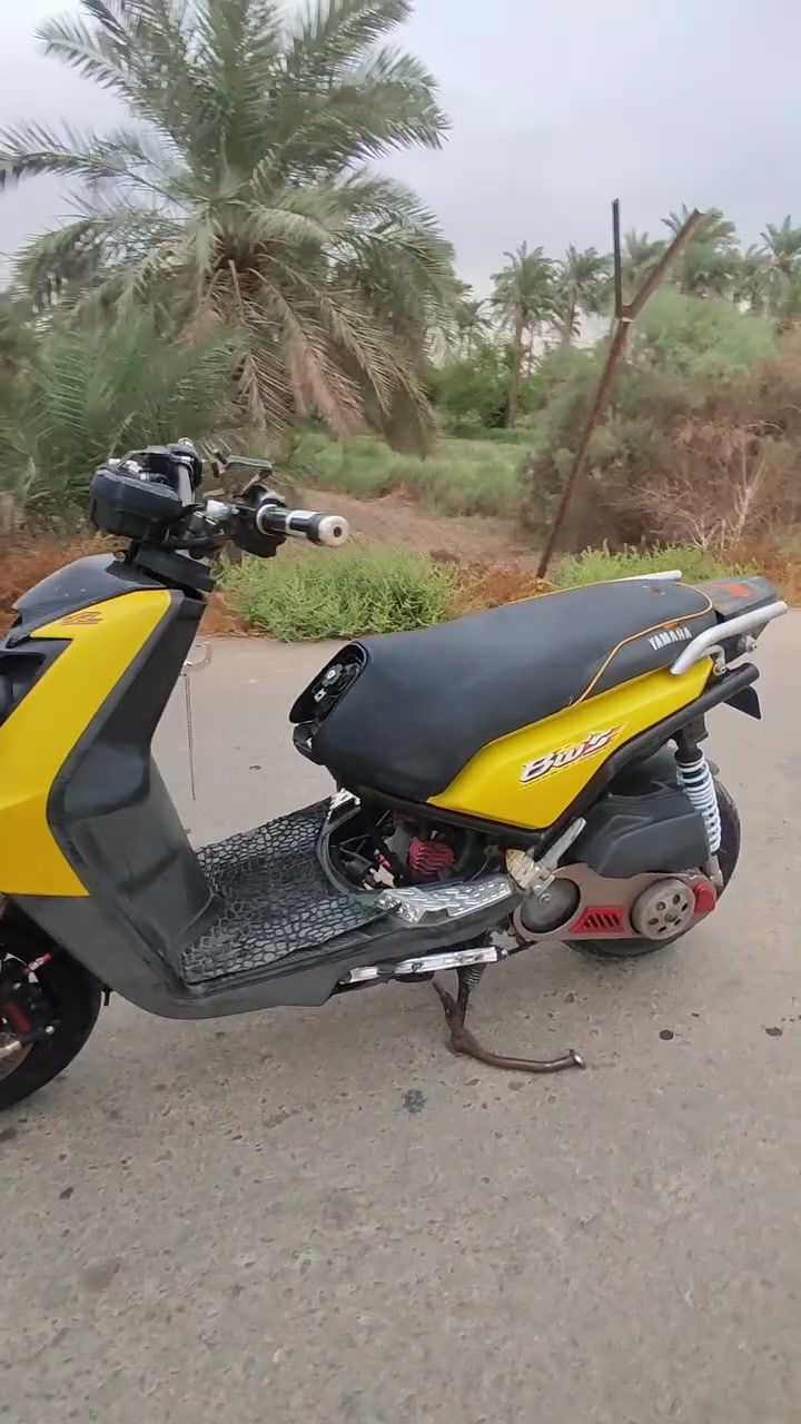 بي دبليو زد • وراق • منفيس