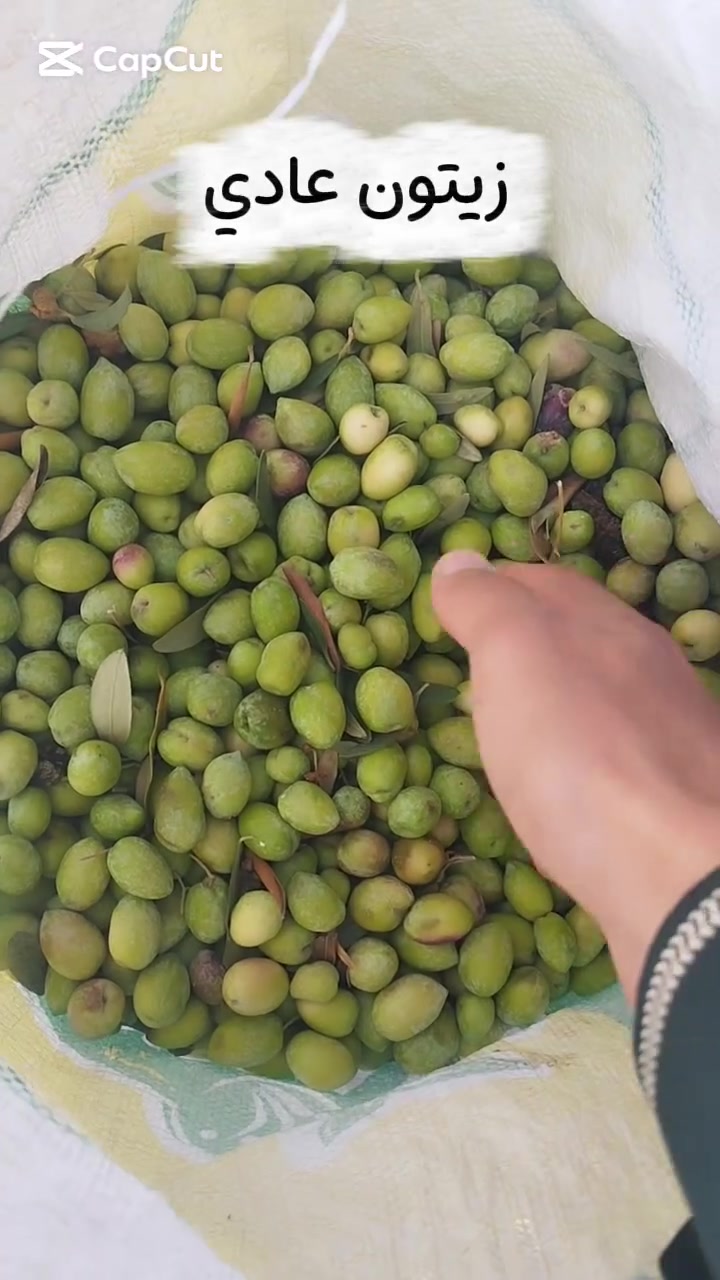 زيتون أخضر • خستاوي • توصيل مجاني