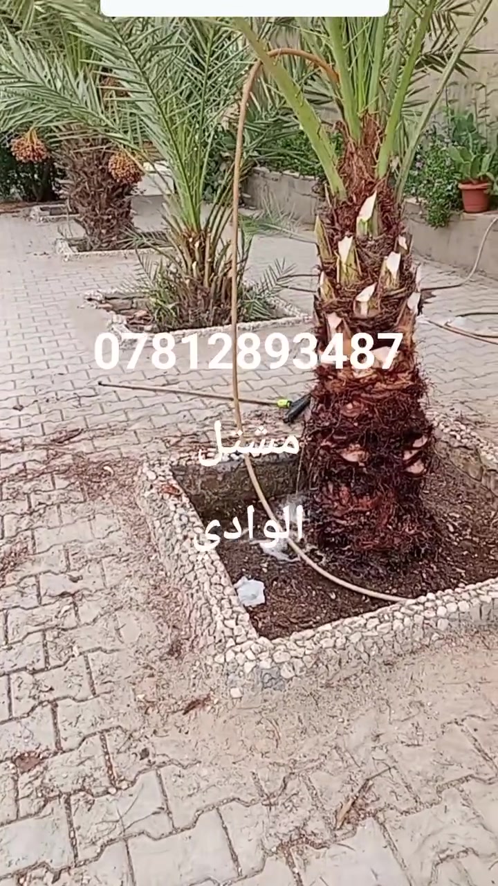 تنظيف الحدائق • داخل البيوت • أسعار تنافسية