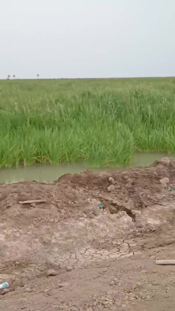 100 دونم طابو ملك صرف بأسمنه تحويل مباشر سعر مناسب محافظة ديالى باقي تفاصيل خاص او اتصال رقم ***********
