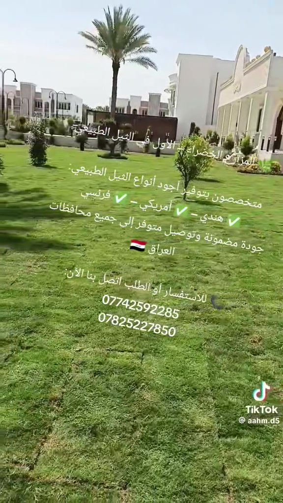 ثيل طبيعي • هندي أمريكي فرنسي • توصيل