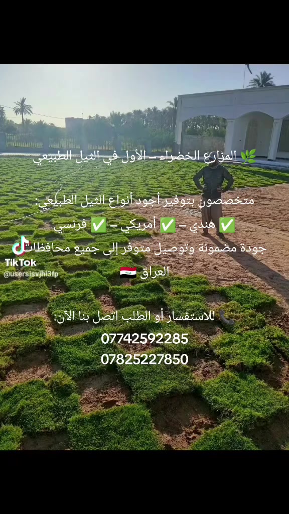 🌿 المزارع الخضراء – الأول في الثيل الطبيعي

متخصصون بتوفير أجود أنواع الثيل الطبيعي:
✅ هندي – ✅ أمريكي – ✅ فرنسي
جودة مضمونة وتوصيل متوفر إلى جميع محافظات العراق 🇮🇶

📞 للاستفسار أو الطلب اتصل بنا الآن:
***********
***********
