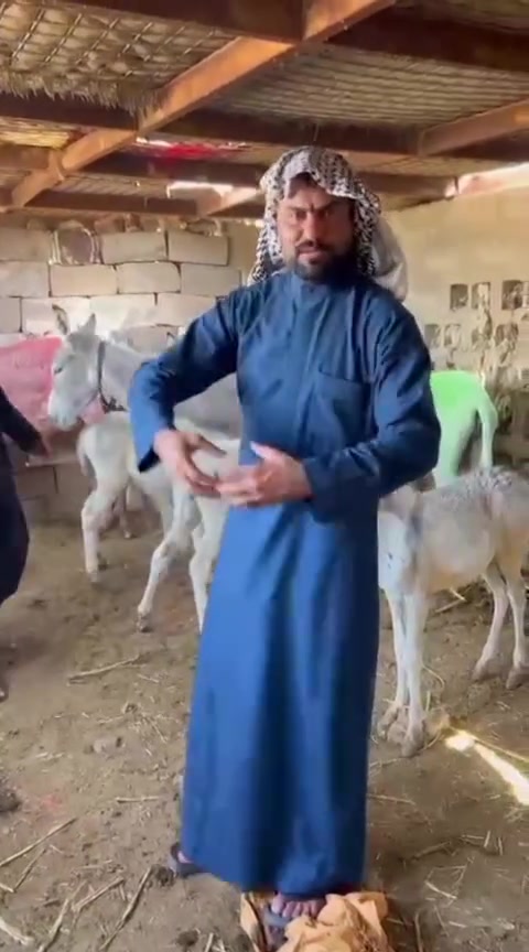 العنوان بغداد النهراون ***********
