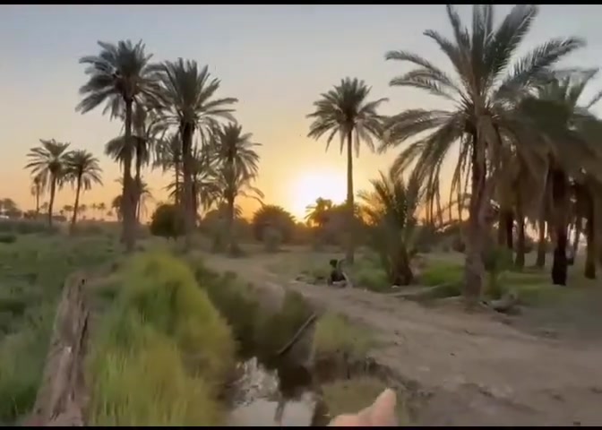 سلام عليكم 
ارض زراعيه سند ٢٥ مساحته ٦ دوانم واجهه ٥١ بسمنه تحويل ثاني يوم ب اسم المشتري
طريقهه مفتوح عرضه ٣ امتار وتبعد عن التبليط ١٥٠ متر

مكانهه طويريج الخيرات شط مله 
وتبعد عن الامامين ٢٠ دقيقه
***********
