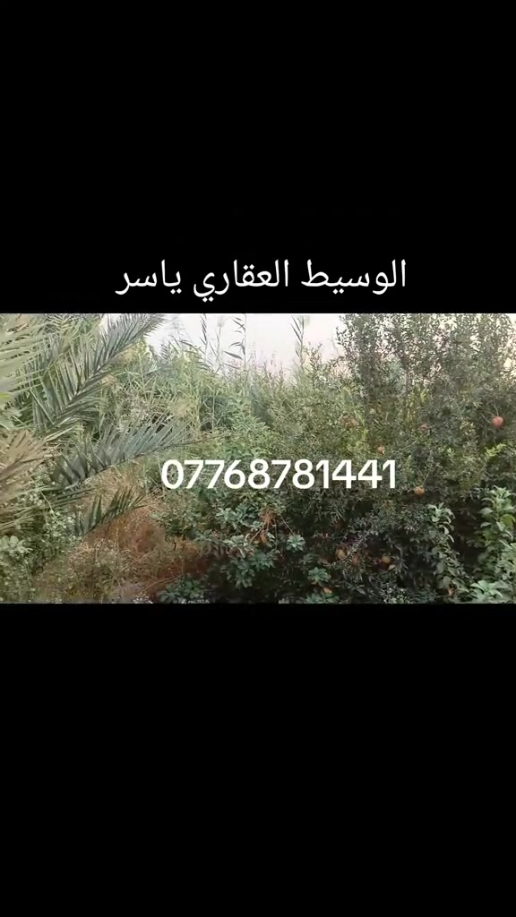 بستان • ٥ دونم • بعقوبه بهرز العباره