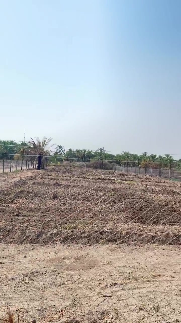 سلام عليكم دونم طابو صرف للبيع العنوان المدائن منطقة التويثة قرب شارع سيد علي وجه 25 متر الاستفسار ***********
