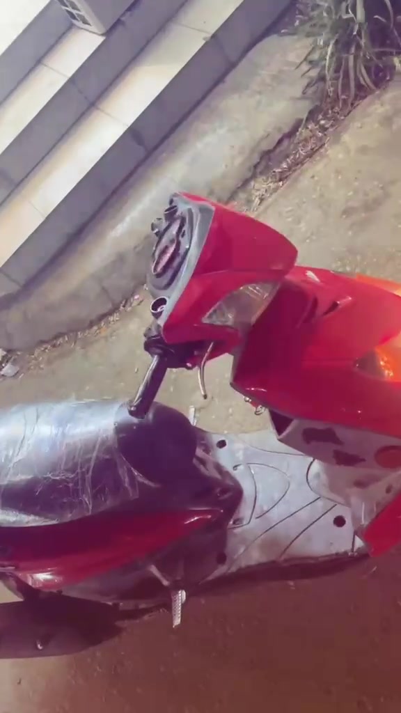 سكنس فحل • معدل فول • ما ناقصها