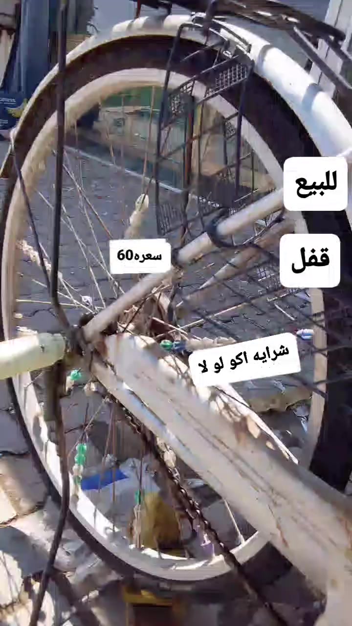 العنوان كربلاء المقدسة وره جامعة فريحه للاستفسار ول تواصل ***********
