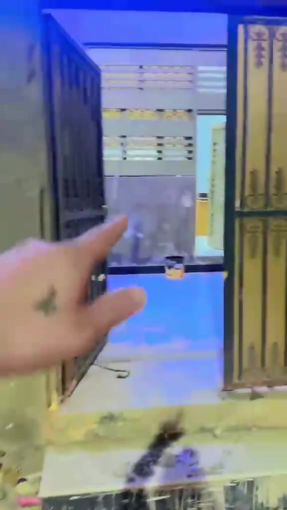 حي بغداد • بيت جديد • طابق واحد