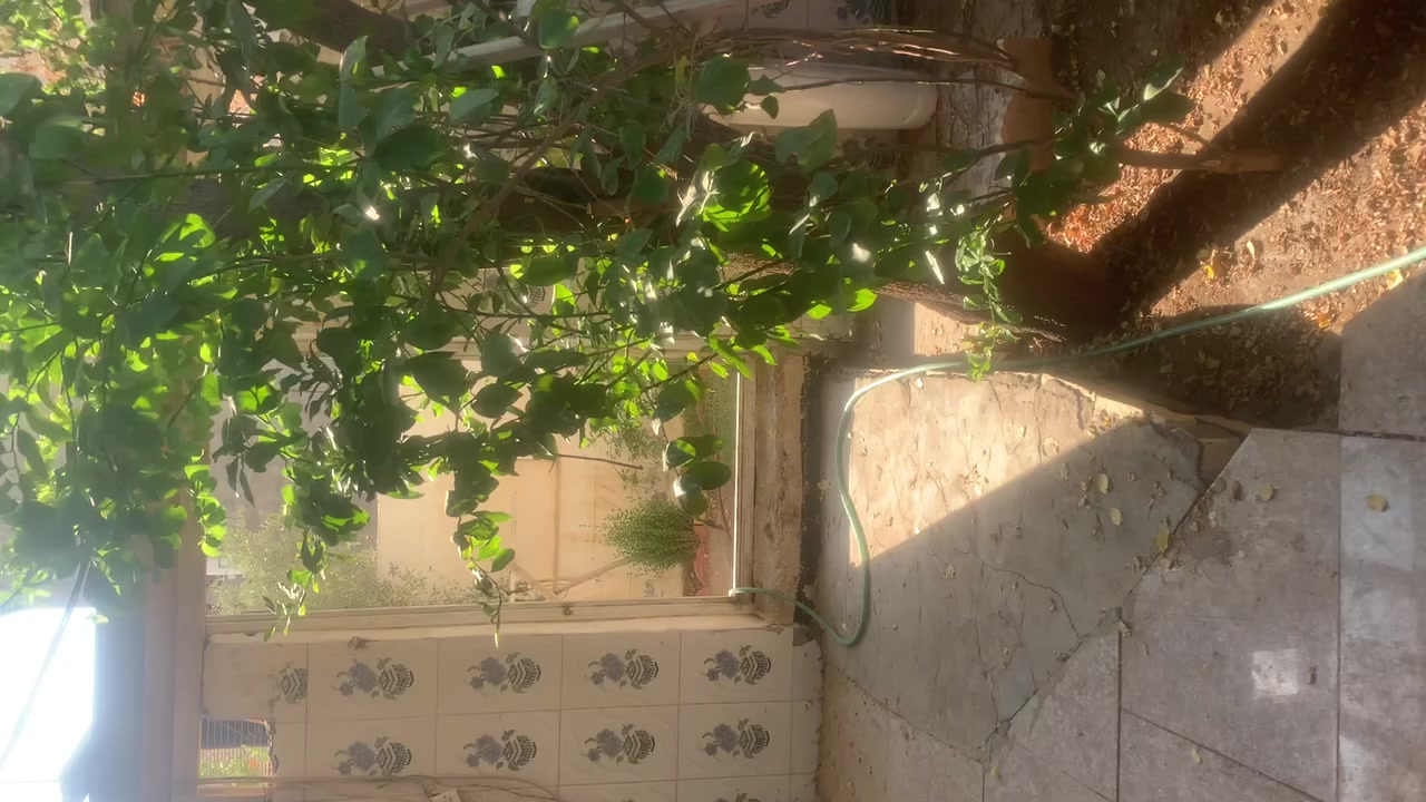 سلام عليكم بيت لبيع وبلاش وسعر مناسب جداً 
يحتوي البيت على 4 غرف نوم 2 جوه واثنين طابق الثاني ويحتوي على صاله فوق وتحت ومطبخ واحد وصحيات عدد 6 ويحتوي على استقبال كبير وصاله كبيره جداً ومنور جانب البيت ومنور ضهر البيت والبيت ركن وجه الثانيه حديقه مساحت البيت 320 متر ومساحت الحديقه 115 مجموع مساحت البيت 435 متر طابقيت يحتوي على سطح 2 صطح ناصي وسطح عالي السعر 180 وبي مجال لطيبين مثلكم واذا اكو بيت مراوس وقريب على ولايه كذالك يرهم 180 مليون رقم الهاتف او مراجعه مكتب دلهي ***********
موقع البيت مسيب حي معلمين الثانيه شارع محمد الجواد داخل الفرع