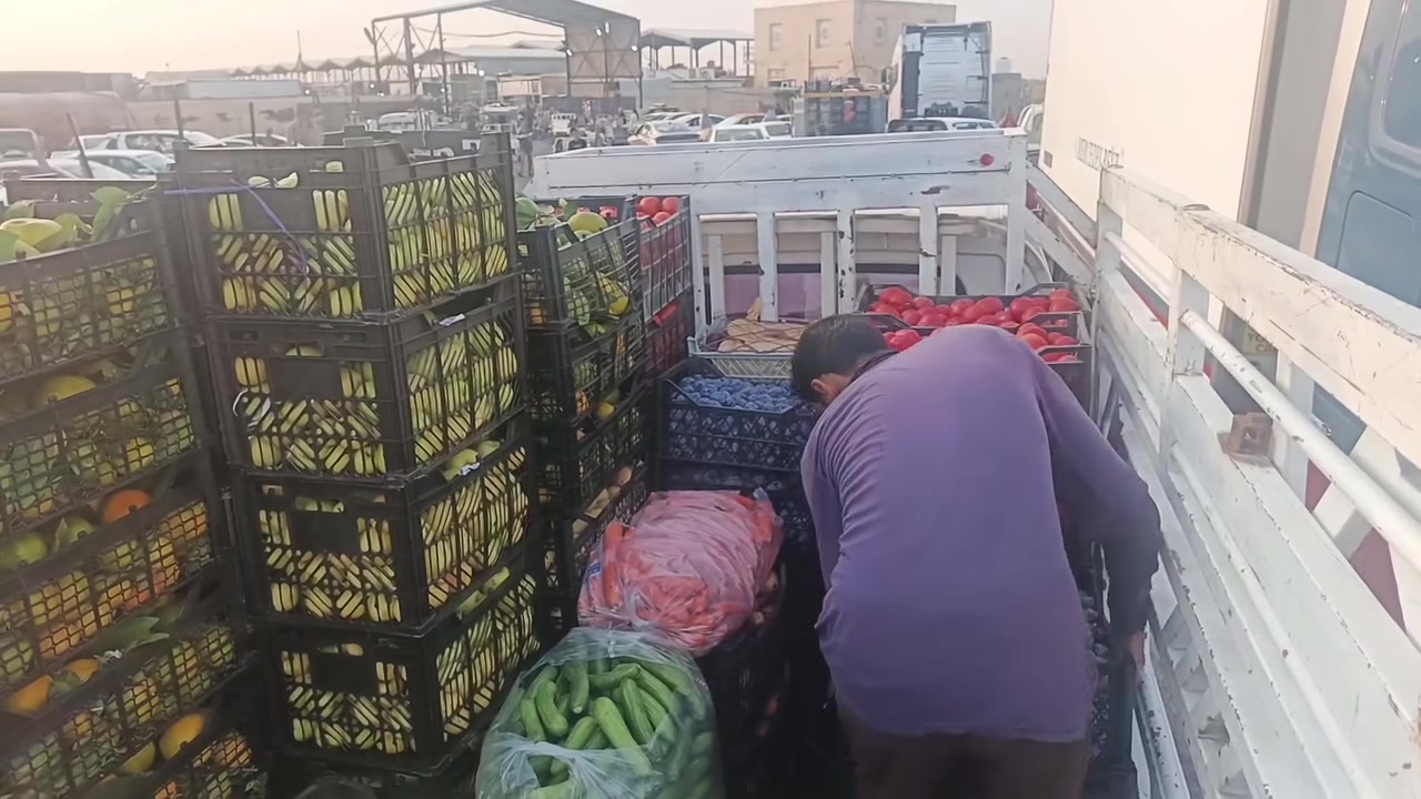 مسواك • فول • قرب البريد