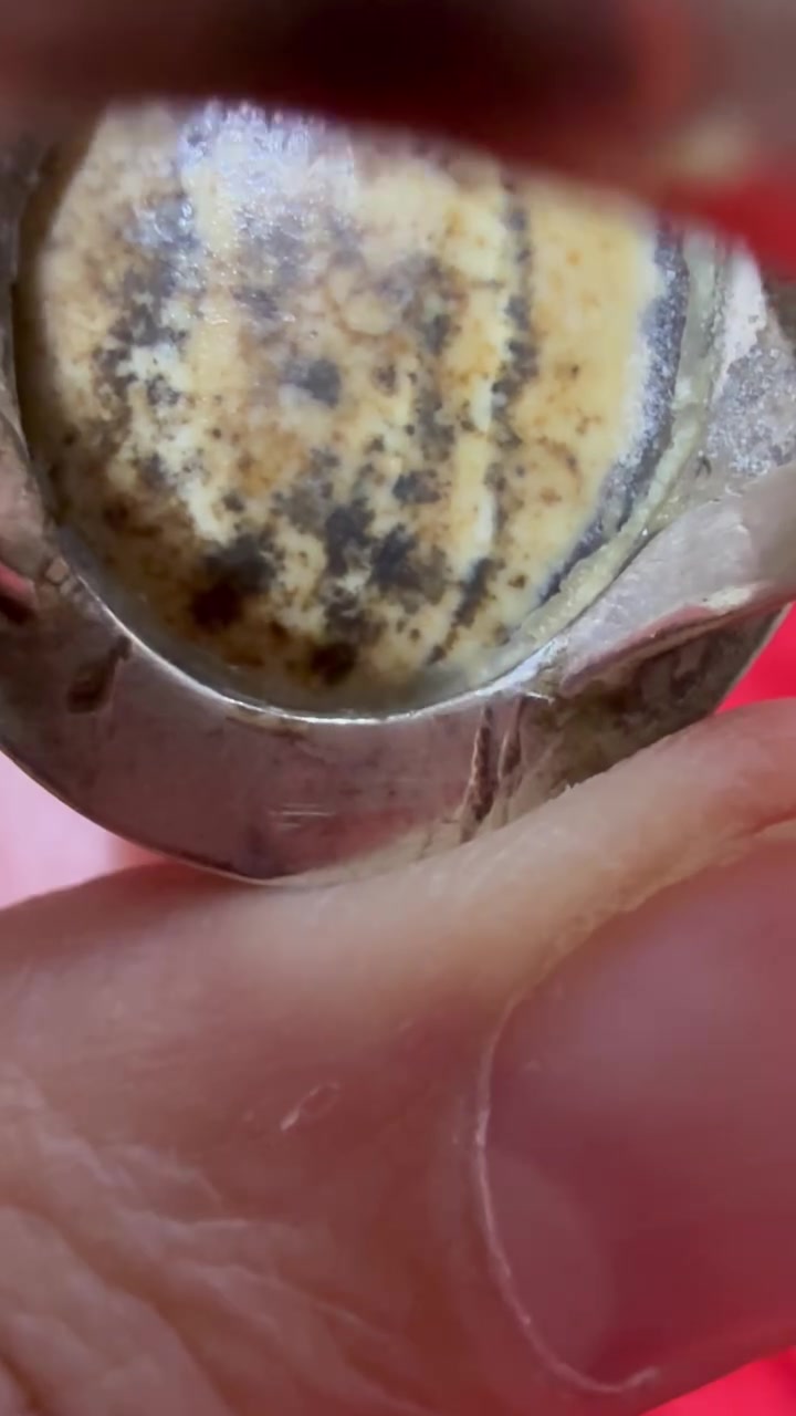 داودي مصور مآل آهلنه

‭***********‬
