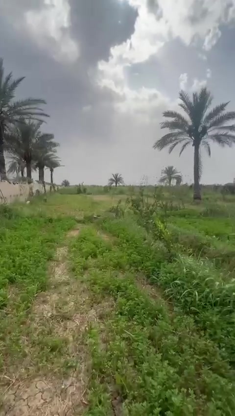 لبيع ٢ دونم طابو ٢٥ قرب علوه الرمل مباشر على شارع تبليط جانب العلوه  خلف البانزين خانه فيه بيت ٢٠٠ متر وبيت صغير مسيجه الارض وبي بستان تفاح ونخل وحمضيات وحدائق وبي اجازت بناء *********** الموق ترفيه وايضا تجاري
