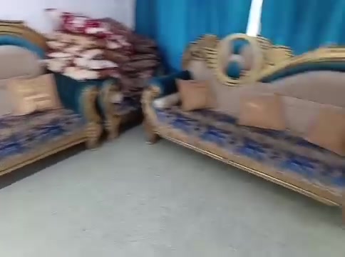 تخم رئاسي نظيف جدا للبيع***********
