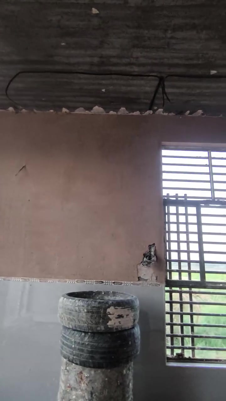 على بركه الله عمل لبخ ناعم +خشن+ تصفير
+جص+ سمنت+ بورك +عمل سيراميك +بورسلين +مرمر +كاشي 
نشتغل نجف وكربلاء للتواصل ***********
