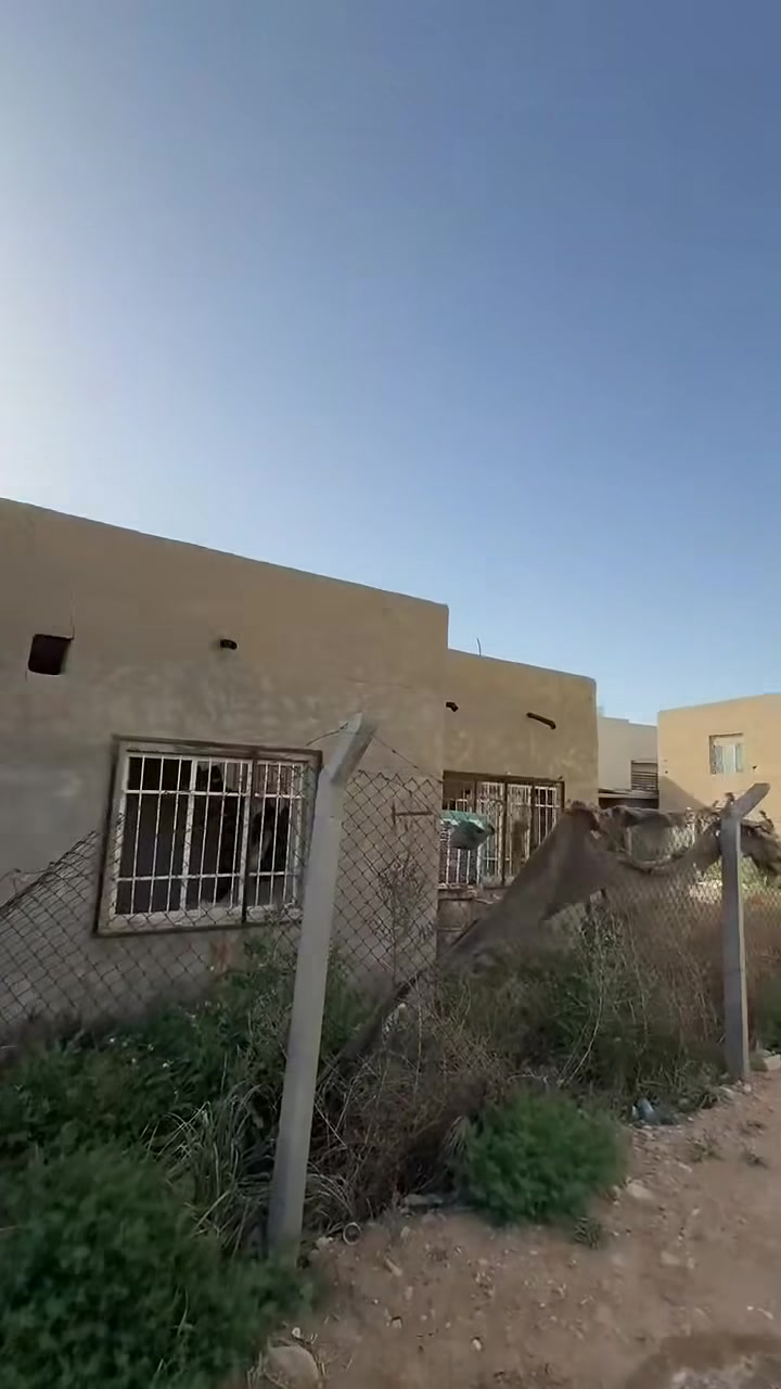 سلام عليكم 
قطعه ارض طابو زراعي سند 25 المساحه ٤٨٠ متر واقع حال مسيجه ومحدوله وكافه الخدمات بالسند ٣٨٥ تحتوي بيت لاكن تعتبر قطعه كافه الخدمات ماء وكهرابء وجدا قريبه من التبليط 
ومدفونه للستفسار *********** او الاتصال واتساب
