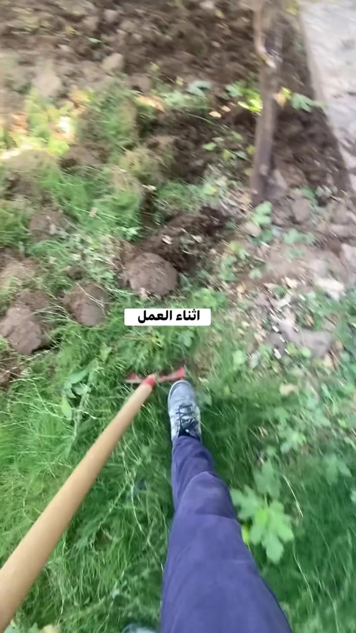 مستعدون لترتيب وتقليم وقص الاشجار   وزراعه الثيل ومعالجه كافه أنواع الزراعه وعمل الشتايكر و وديكورات الحدائق   في جميع احياء الموصل لاتصال (التميز للحدائق)/***********+واتساب
