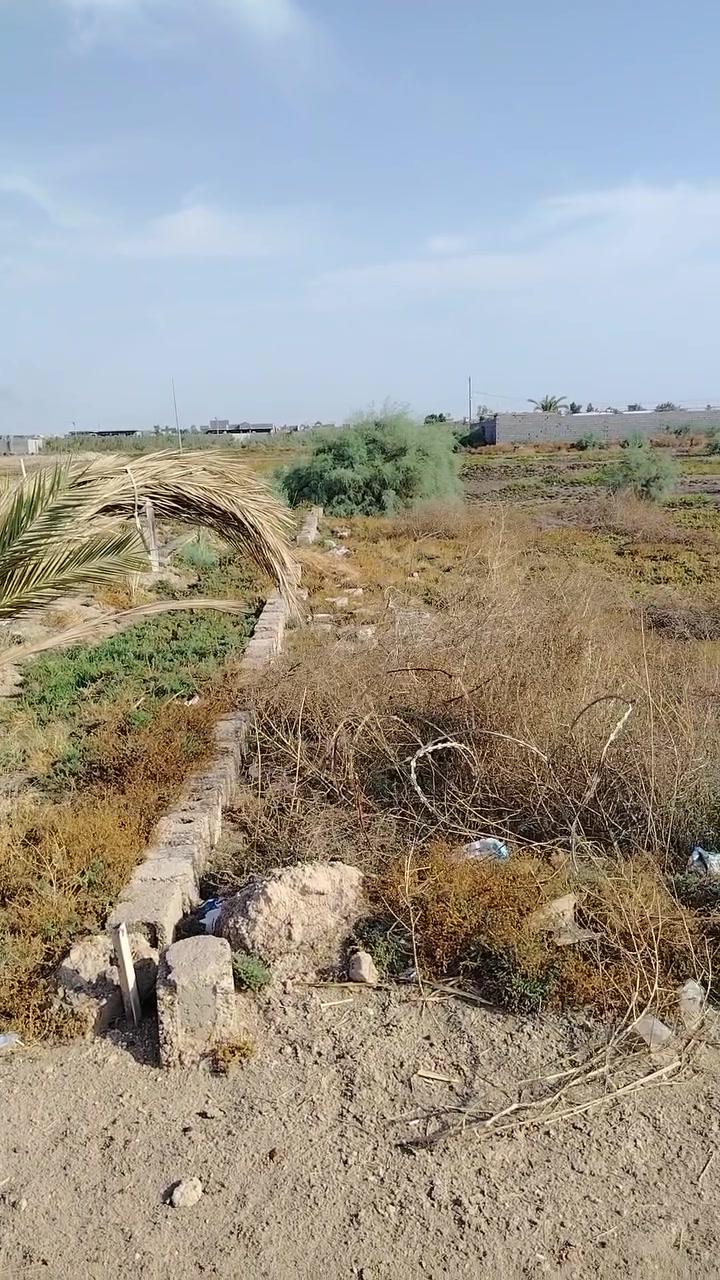 الشهابي • ١٠٠٠م • سند ٢٥