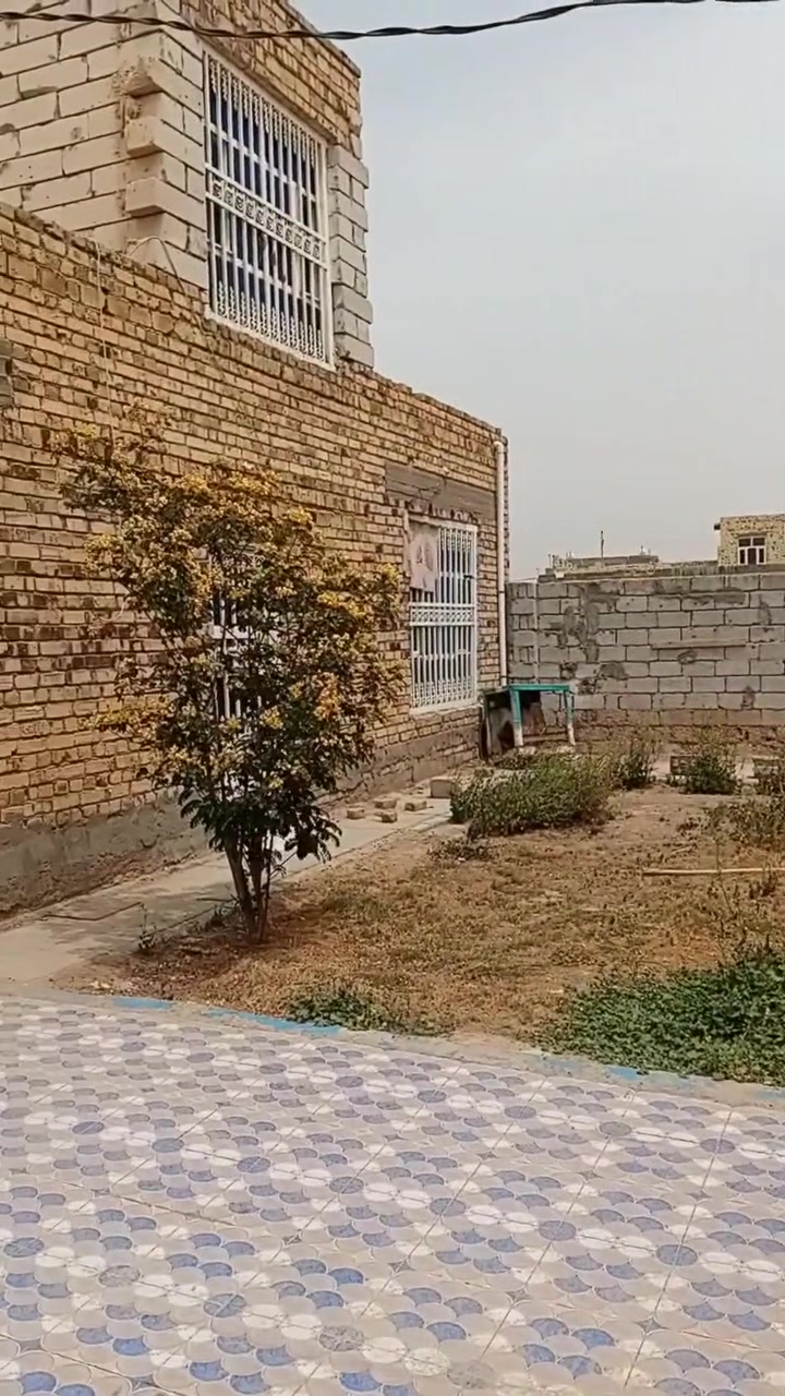طابو زراعي • ٣٥٠م • سند ٢٥