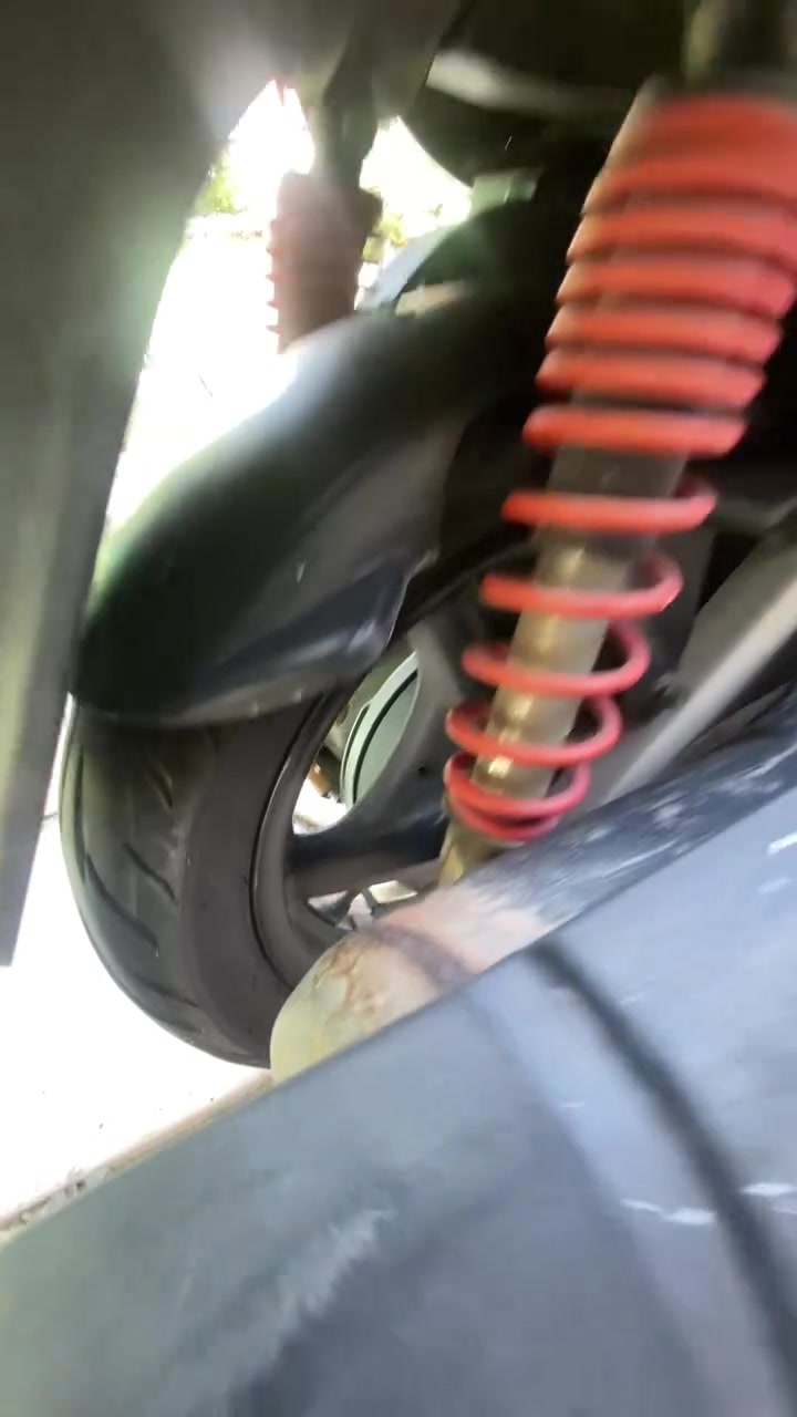 سلام عليكم سكنس فحل  جديده قبل شهر نزلته من الربه كفاله الاستفسار ***********
