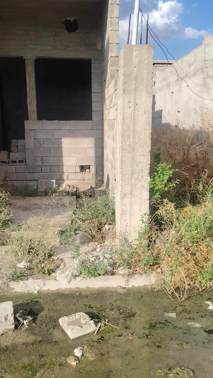 دار • هيكل • ١٠٠م