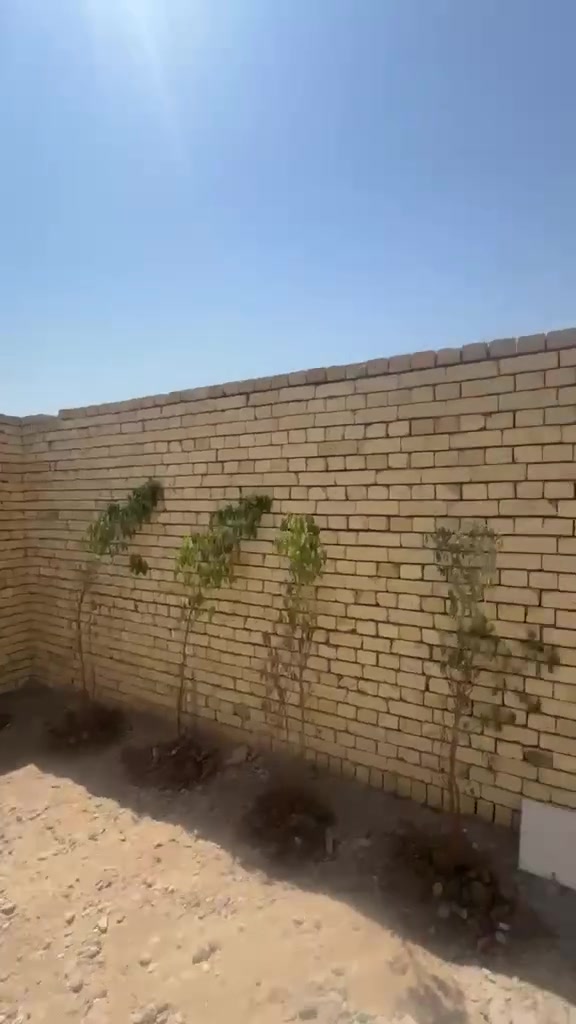 خلف مستشفى الفضيلية • زراعي تجاري • ٥٣م