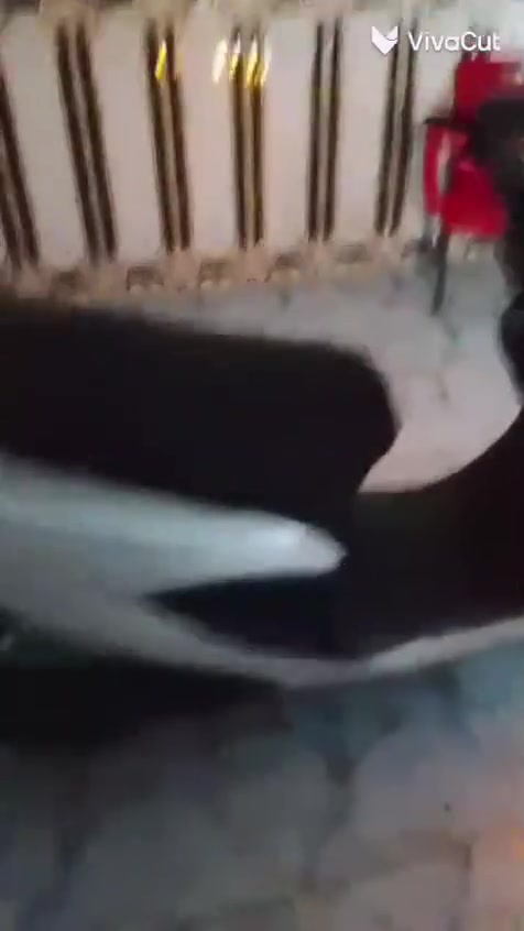 البيع درجه كامكو مديل 12فحل
درجه اي نقص ما عوزه حلوه مبدل بيه بس بستم ***********
