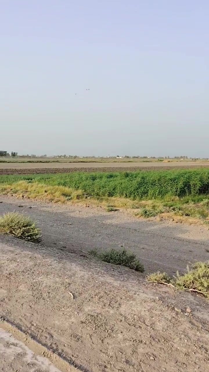 السلام عليكم عندي كاع دوانم لبيع المساحه 8دوانم طابو زراعي سند 25طابو الفلوجه ذراع دجله منطقة شيخ عامر تحديدن منطقة اللهيبي صايره ركن كلش حلوه تخبل الواجهة الدونم الواحد 40متر متوفره كافة الخدمات السعر الدونم الواحد 35مليون وبيه مجال اتصل على الرقم ***********بي واتساب هاي الصفحه مالتي مال الكاع دوانم صوره وصوت فيديو مال ابو حوراء استثمار عقاري عله التكتوك
