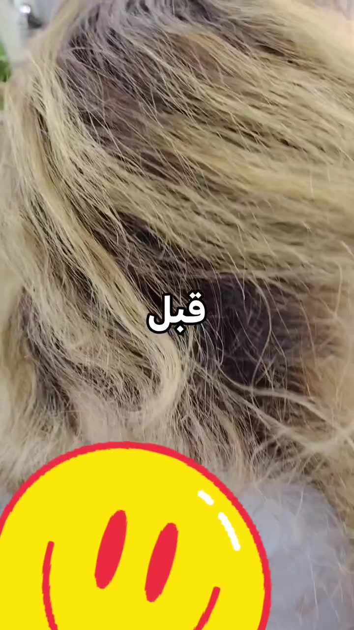 شعر جان كلش تعبان
صالون أزل بيوتي العنوان ام العصافير ***********
