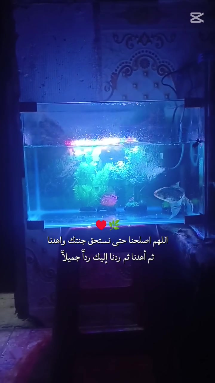 متاح حوض وبيه سمجه خشنه كبيره ونضيف كلش مكاني أبو غريب
