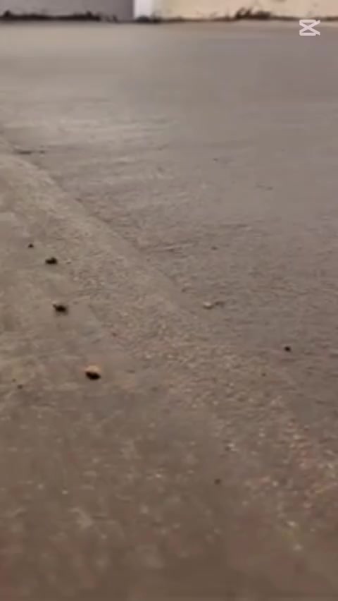 كادر متخصص لتنضيف البيوت وحدل وصب ورش للبيت دوه  مع تقطيع جوينات كادر متخصص مناطق البصره فقط لاتصال أو وتساب ***********
