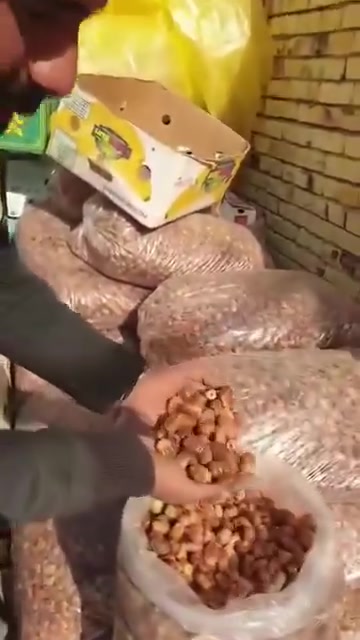 تمور • درجة أولى • توصيل