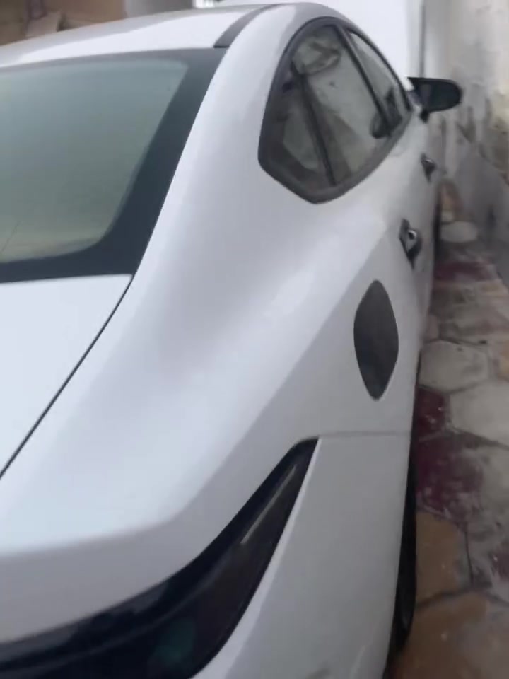 بيه بارد بل بابين سعرهه 110 للاستفار ***********
