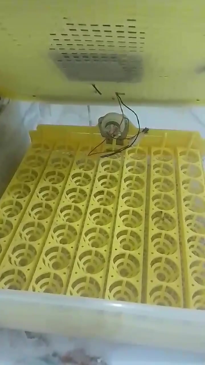 مقفز • للبيع