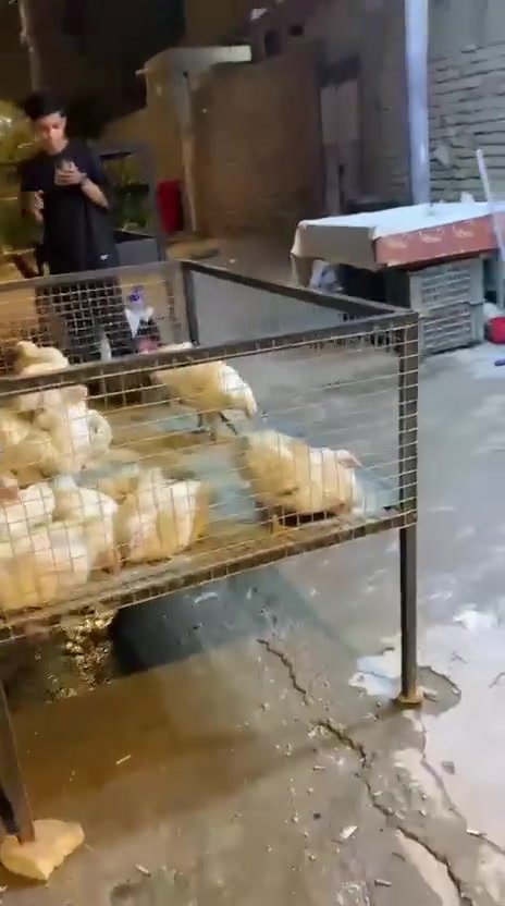 محل دجاج وسمك • بي غراض • حي الفداء