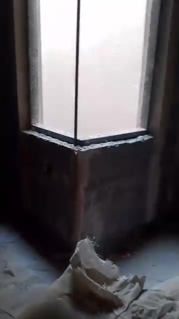جص وبياض • واجهات • بناء وترميم