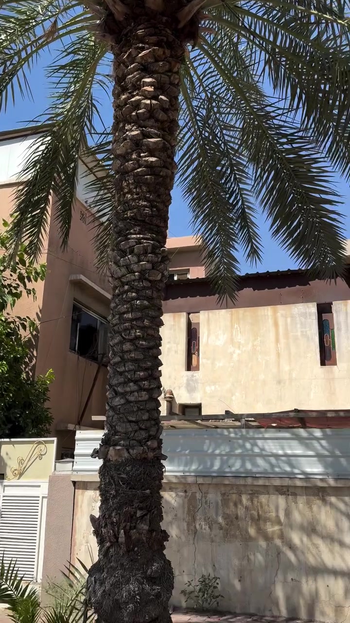 دار للبيع مساحته 60م الواجهه 4م  ،النزال  15 عرض الشارع 25م على شارع تجاري
الموقع : العطيفية الاولى  
للتواصل : مكتب دجلة ***********
