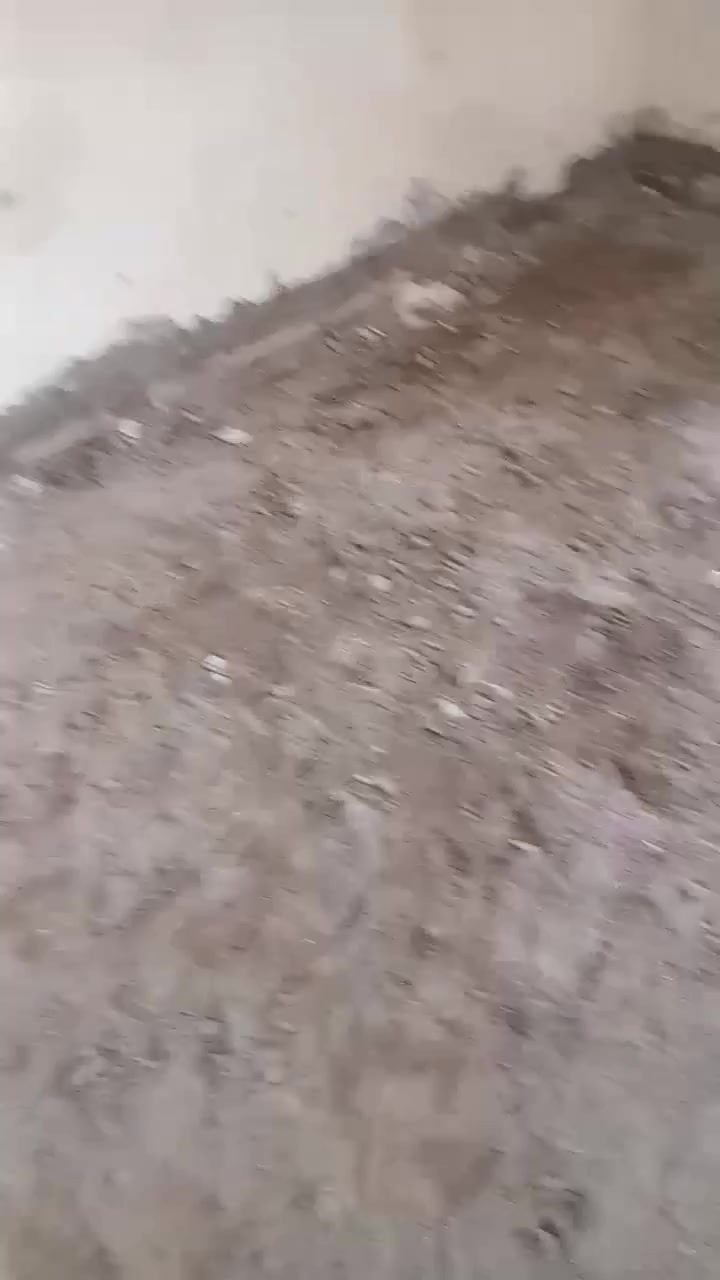 خادمكم حيدر الفرطوسي لتفليش المنازل وقلع الجدران والسقوف والترميم وتنضيف المنازل وفتح البيبان والشبابيك بالكوسره وجميع الأعمال الحره رقم الهاتف ***********
