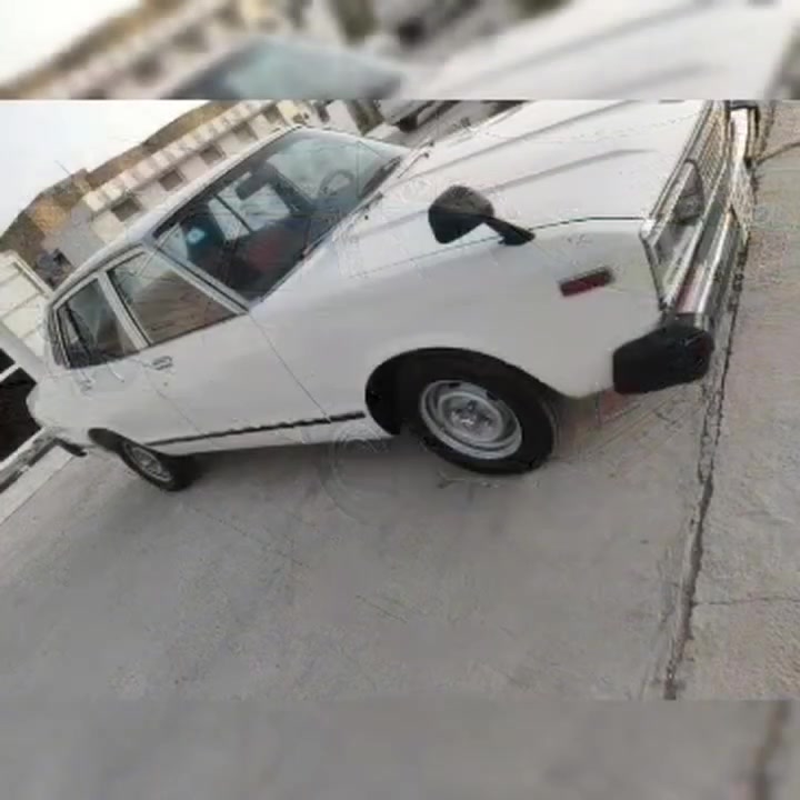 داتسن • ١٩٧٩ • بدون حادث