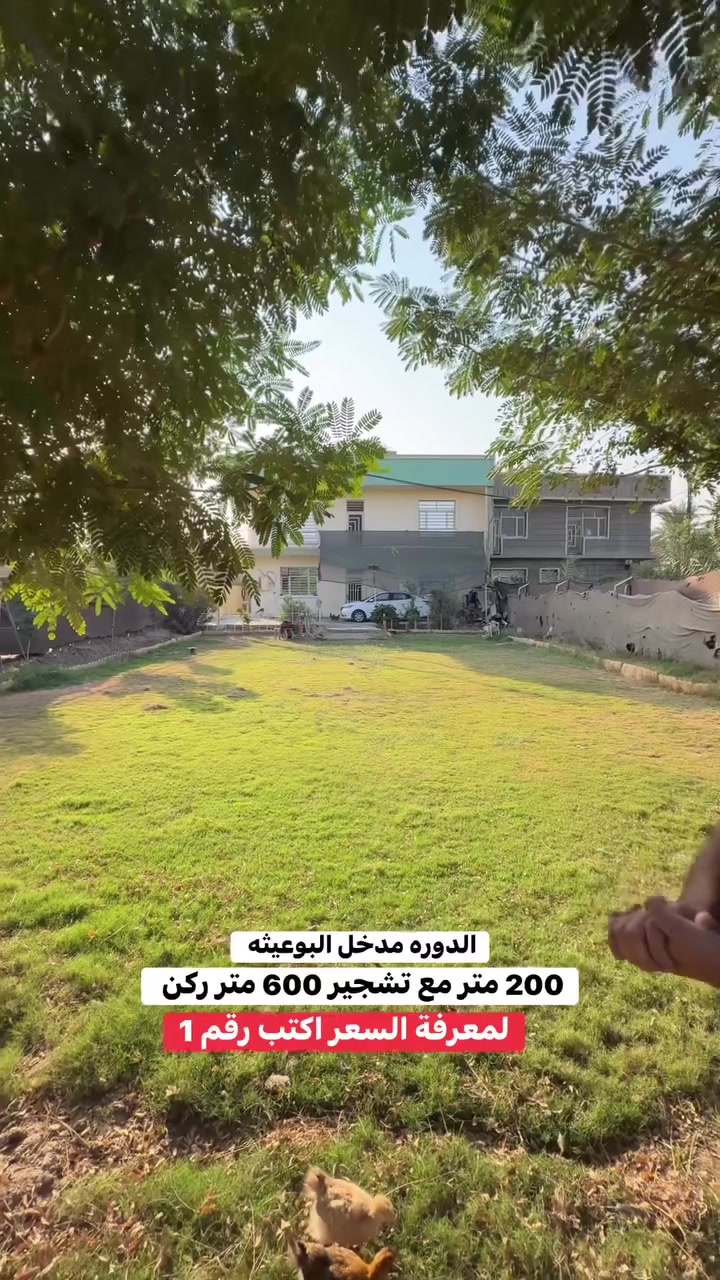 الدورة • البوعيثة • أرض