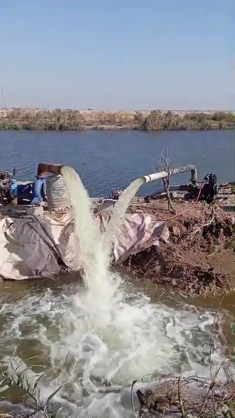 محركات اثنين افيكو ١٢*١٠ جاهزات مع بورياتهن للبيع المكان ناصرية سيد دخيل السعر الاتصال على الرقم   ***********
