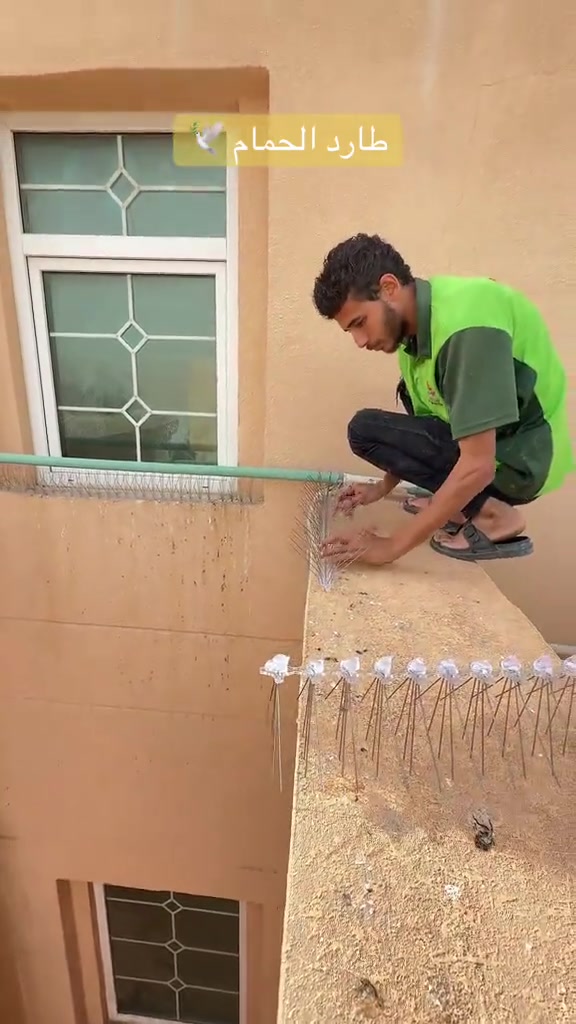 ⁨	طارد حمام  للحجز او الاستفسار يرجى مراسلة الصفحة او الاتصال  ***********/*********** تتوفر خدمة توصيل 🚚  #طارد_الحمام #طارد_الحمام_من_الشبابيك_والاسطح #طارد_حمام #طارد_الطيور #المنزل⁩⁩
