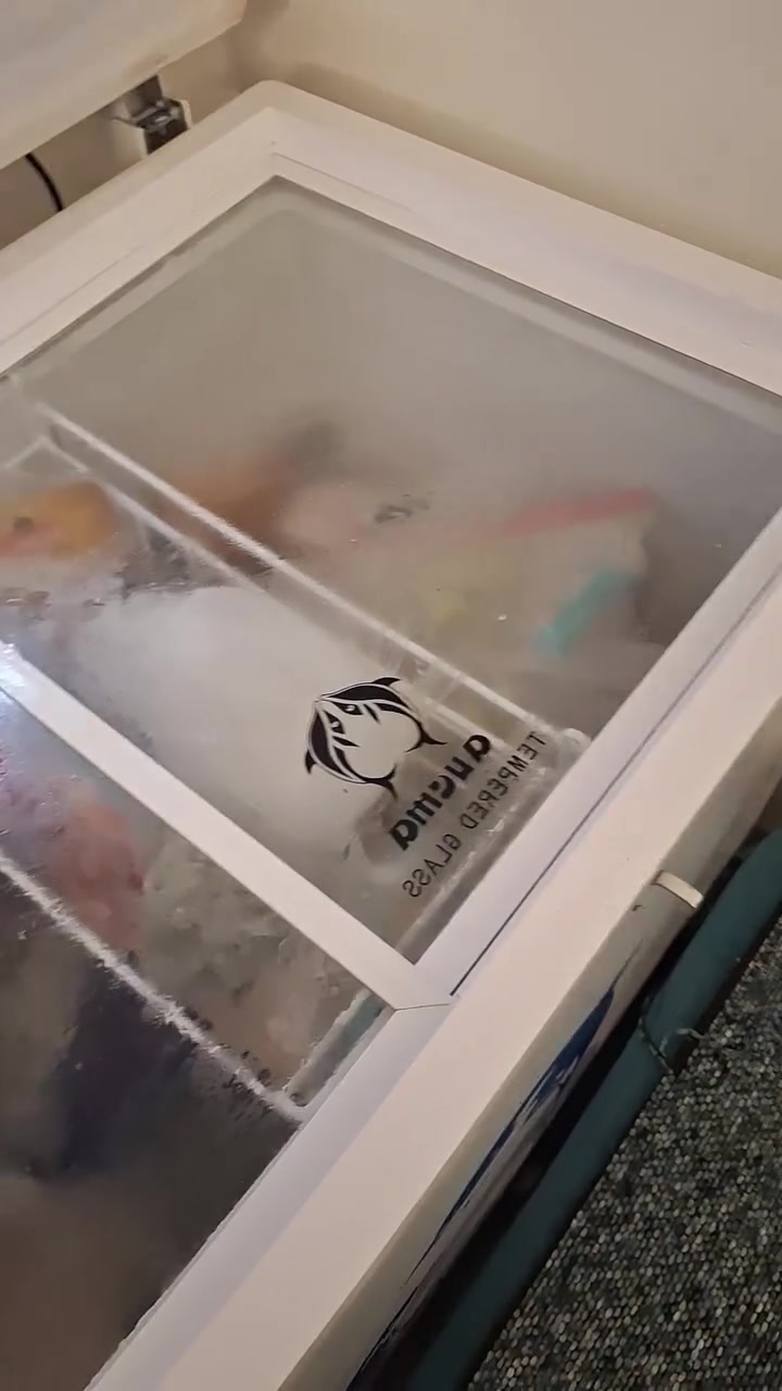 مجمده نظيفه
السعر ٢٥٠ 
استفسار على هاذا رقم
***********
