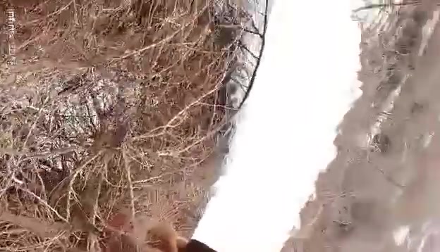 محرك • گراز خنزيره 12ب10 • الناصريه سيد دخيل