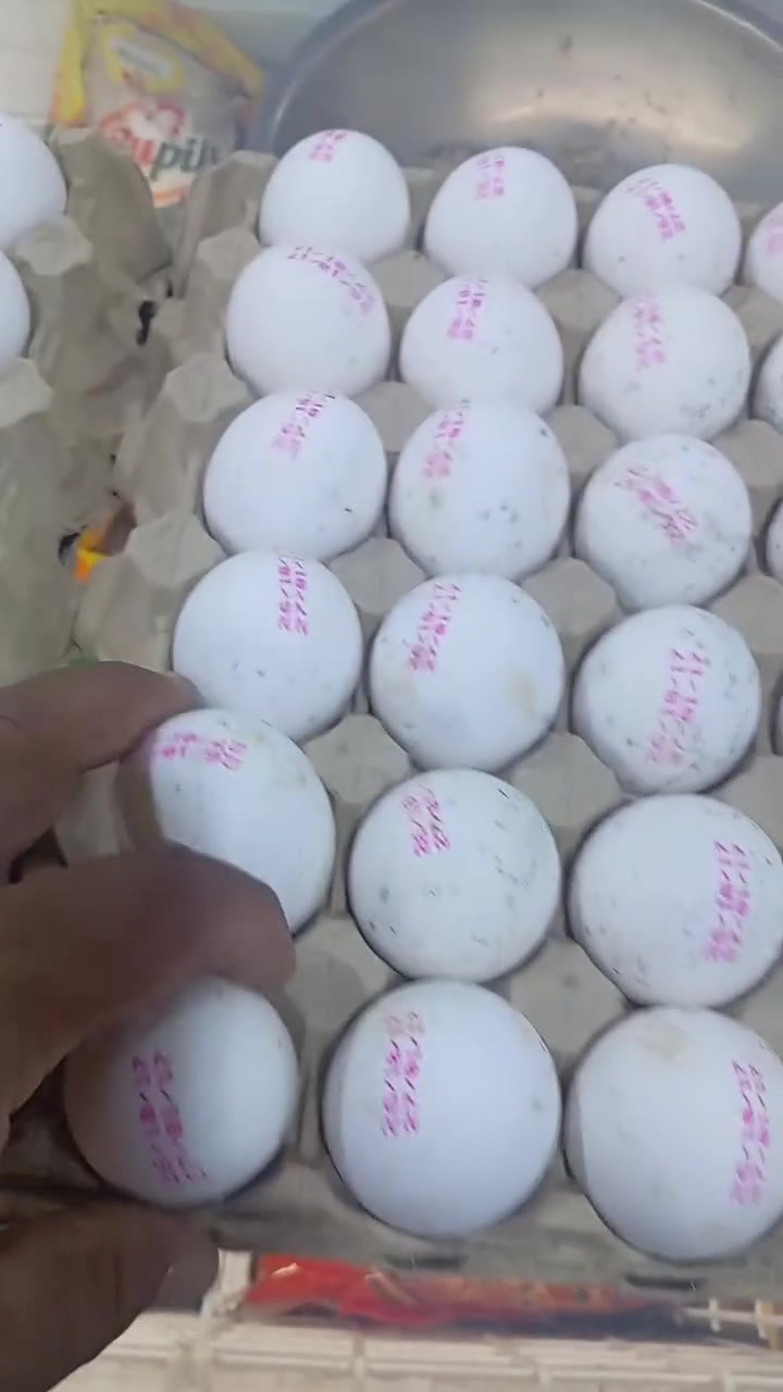 بيض أبيض • خشن • بعقوبه التحرير