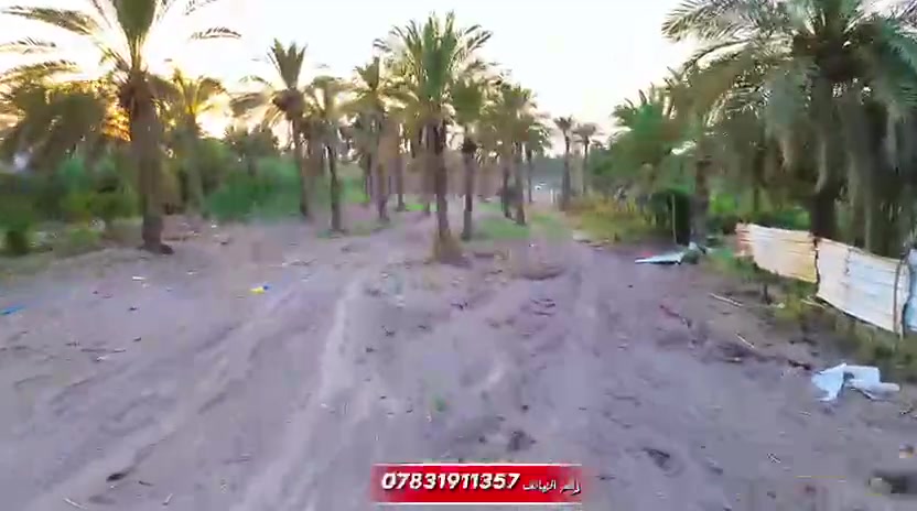 بستان • ٣ دونم • الفضلية