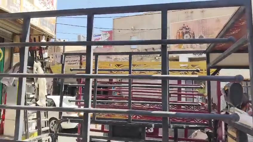 ستوته • محجل كامل • مصبوغ