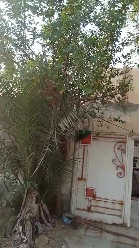 اللهم صل على محمد وآل محمد

دار للبيع ١٠٠م زراعي مرقم من قبل البلديه

سعر مناسب جدا

عنوان الدار كوفه شارع المعمل  مقابيل  جامع الخزاعل

يبعد عن الشارع  ٢٠٠م تقريبا

السعر ٢٠ قفل

غرفتين وصاله ومطبخ واستقبال صحيات عدد٢ طارمه

مكشوفه طارمه

للاستفسار أكثر اتصل على هذا الرقم

*********** ابو محمد الكعبي للعقارات
