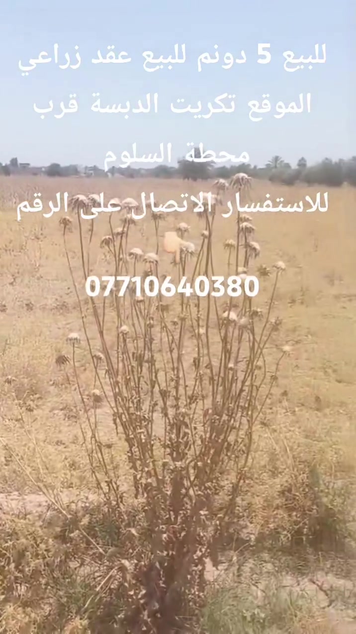 السلام عليكم 
5 دونم للبيع عقد زراعي 35 الجبهة 100متر والنزال 100 متر الموقع تكريت* الدبسة/قرب محطة السلوم  موقع مميز  سعر الدونم 35 مليون
 *********** @إشارة
